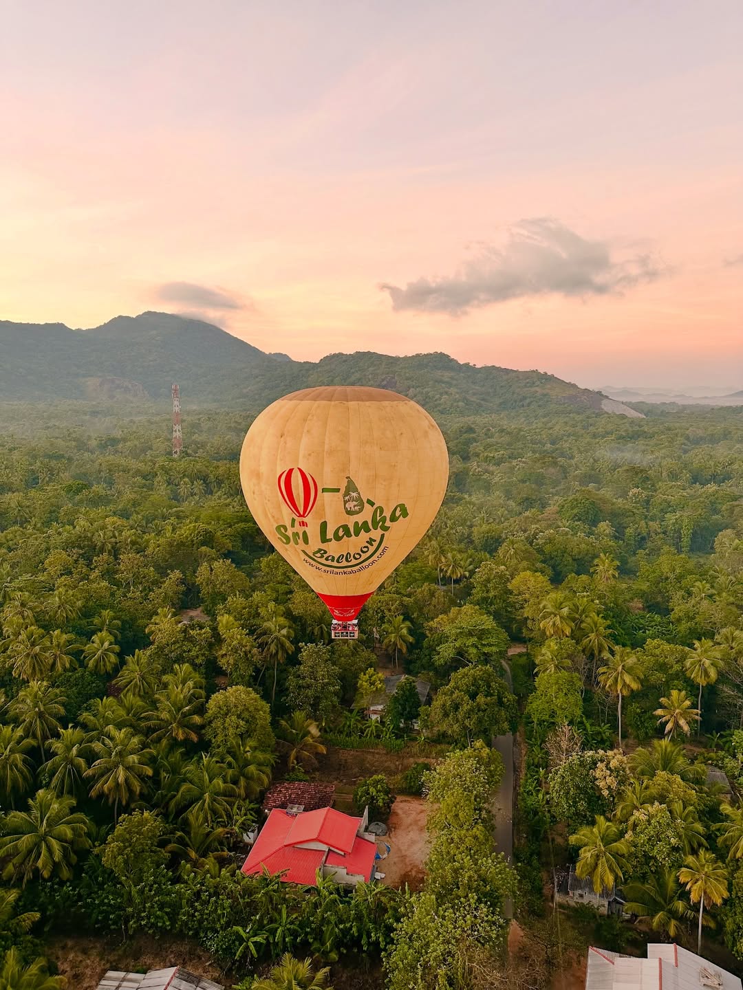 Wildlife spotting with deer